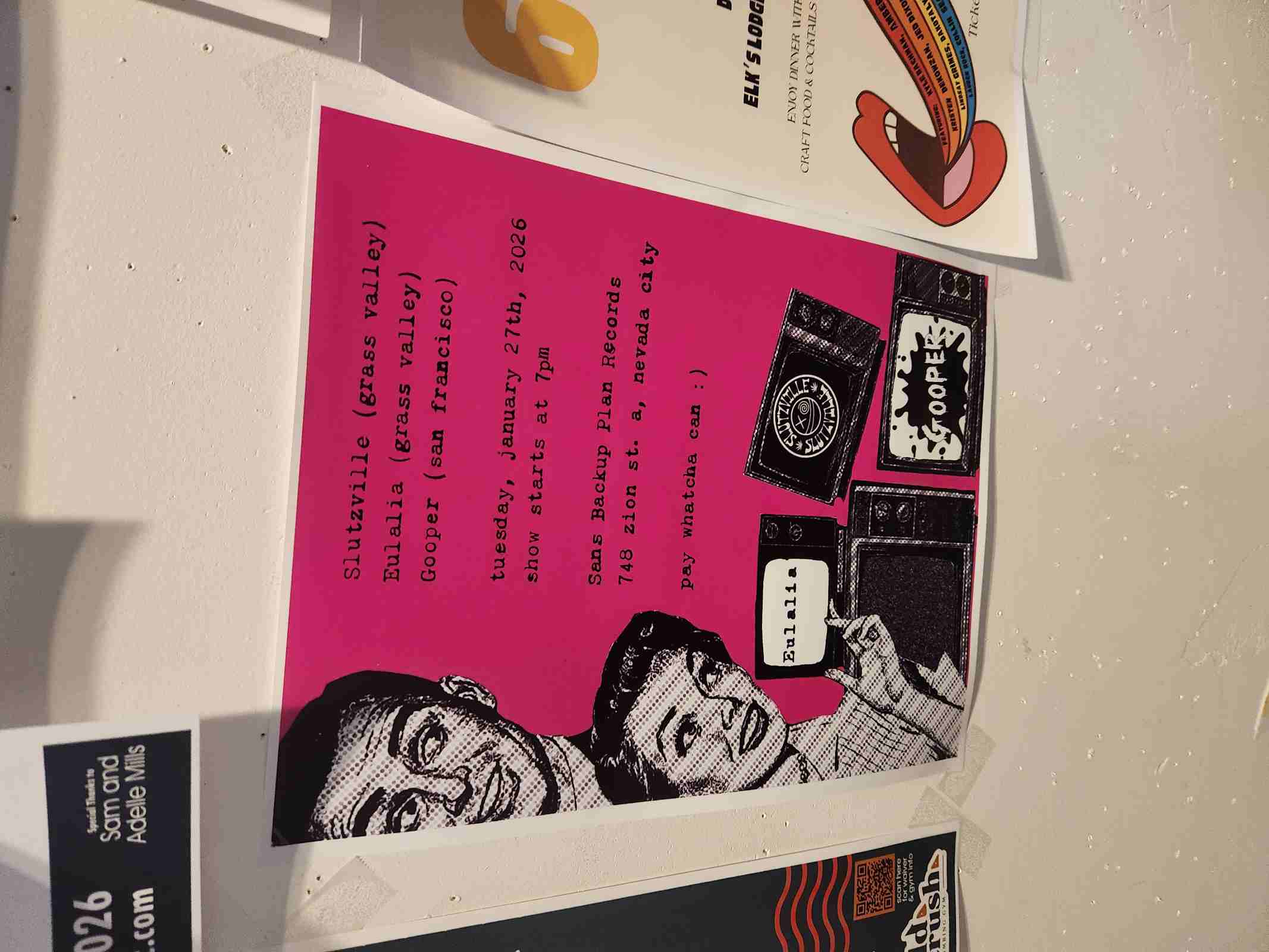 Sans Backup Plan Records